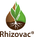 Rhizovac
